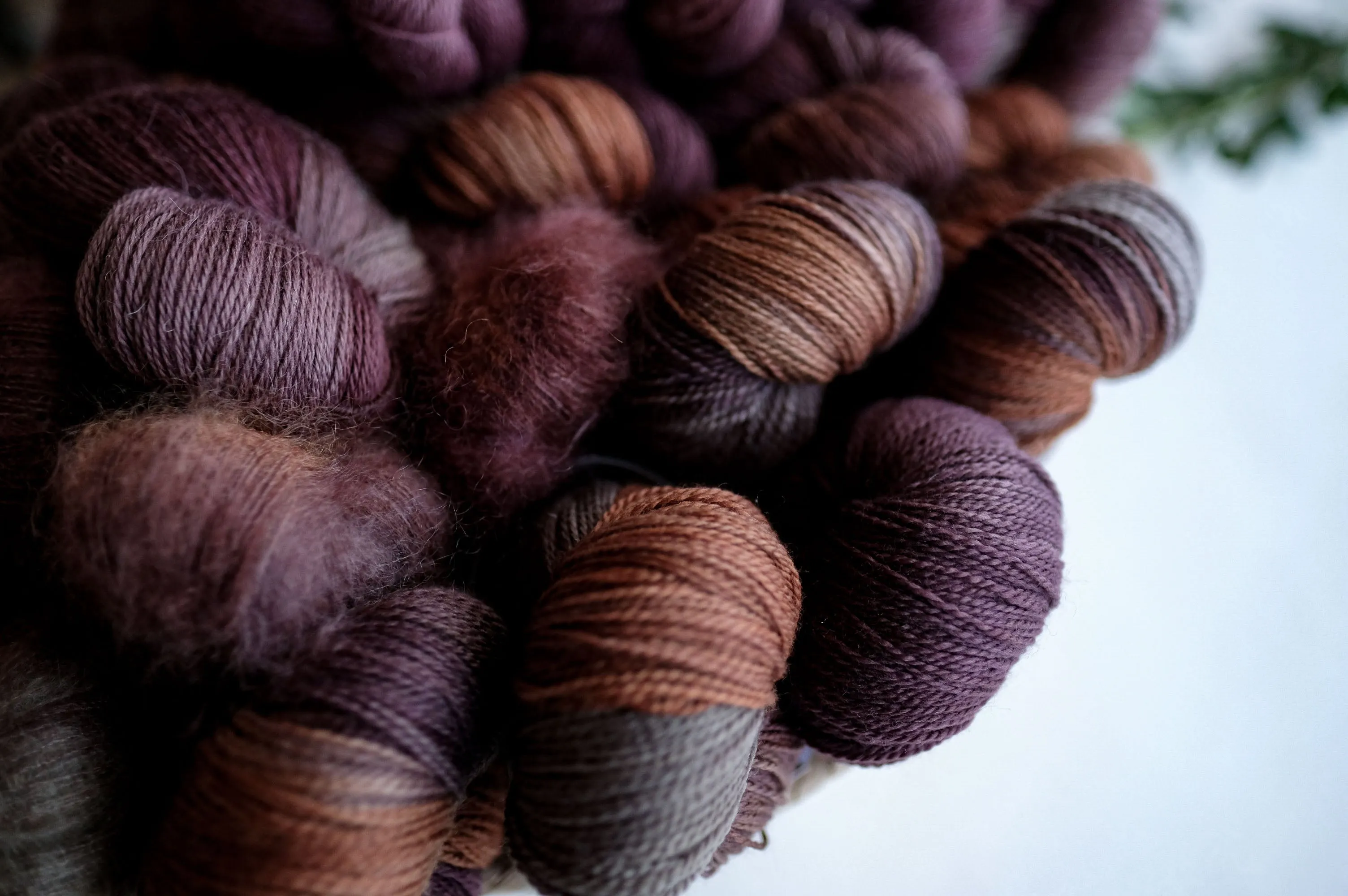 2024 Verb Anniversary Color: Abundant Harvest, Deepening Shadows - DYE-TO-ORDER