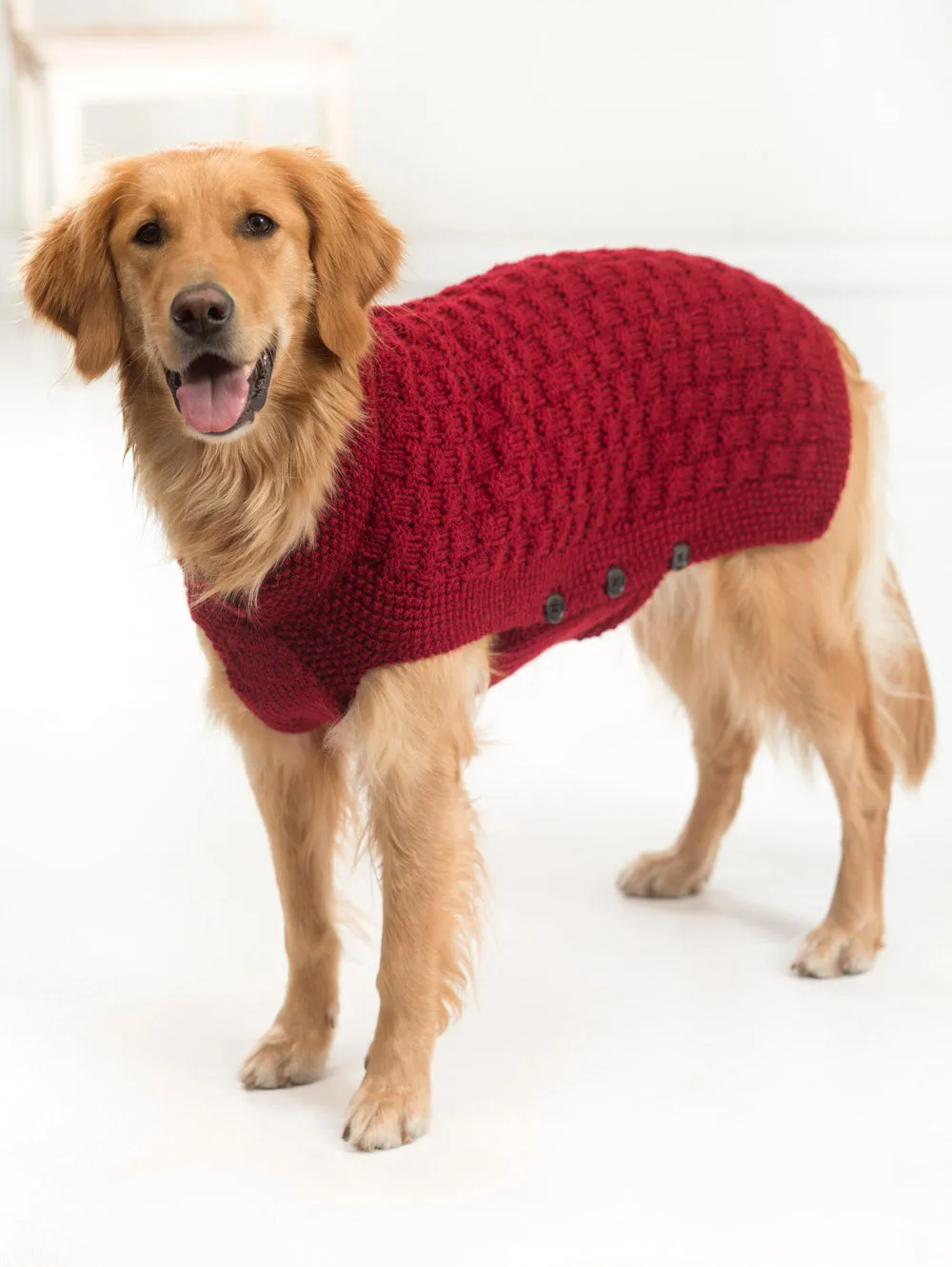 Clifford Dog Sweater (Knit)